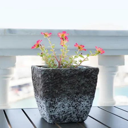 Gorgona Blue Studiο Апартаменты Карпатос