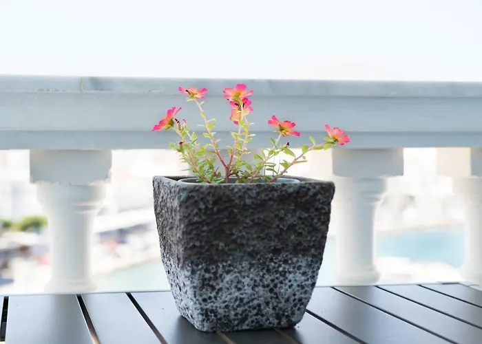 Gorgona Blue Studiο 公寓 卡尔帕索斯